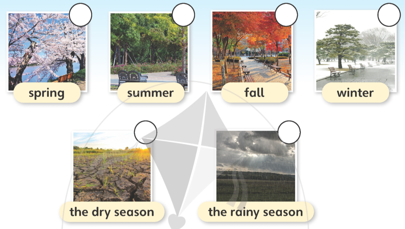 Tiếng anh lớp 5 Unit 0 lesson 2 trang 7 Explore Our World 0 1