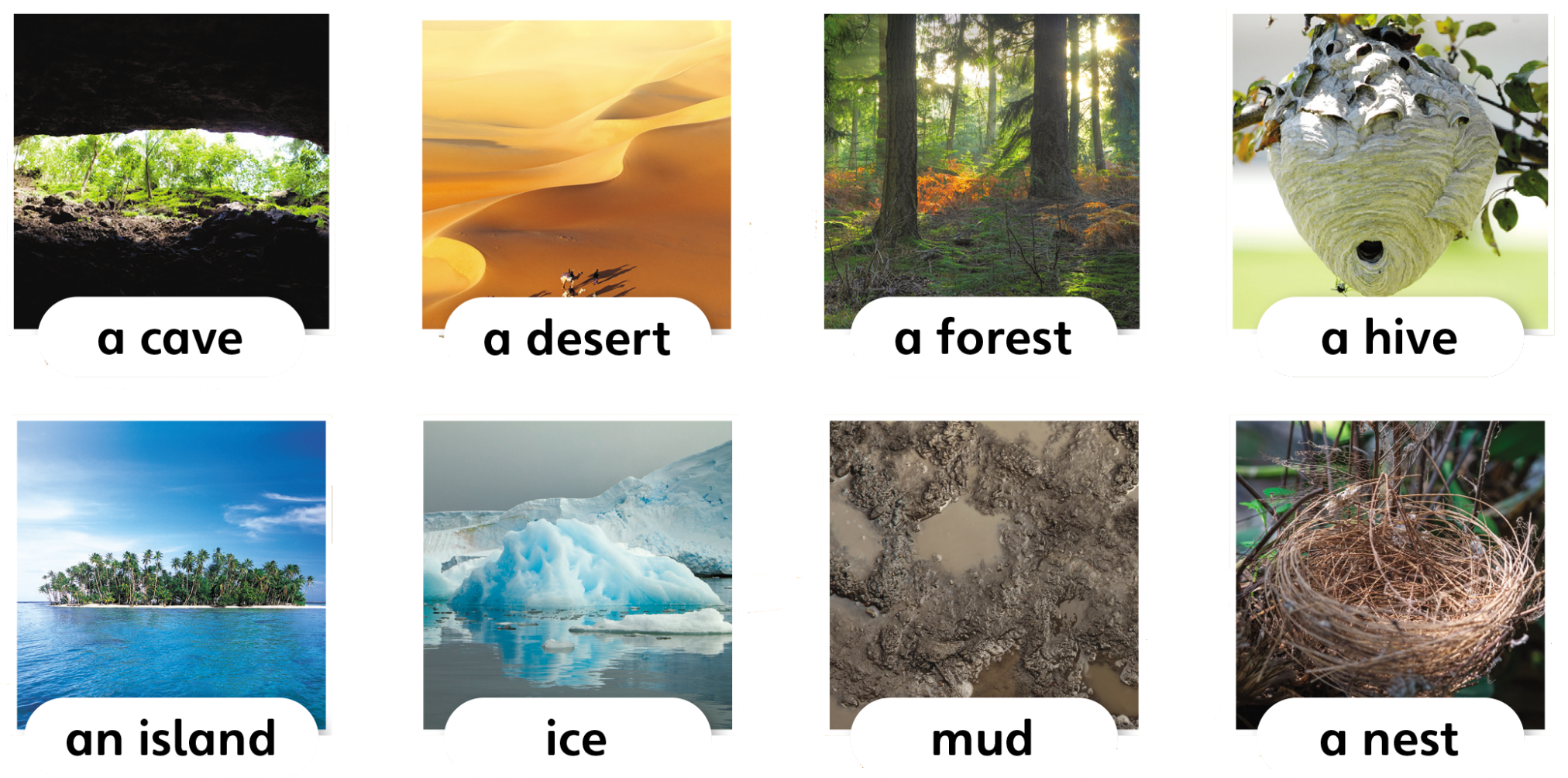 Tiếng anh lớp 5 Unit 1 lesson 1 trang 14 Explore Our World 0 1