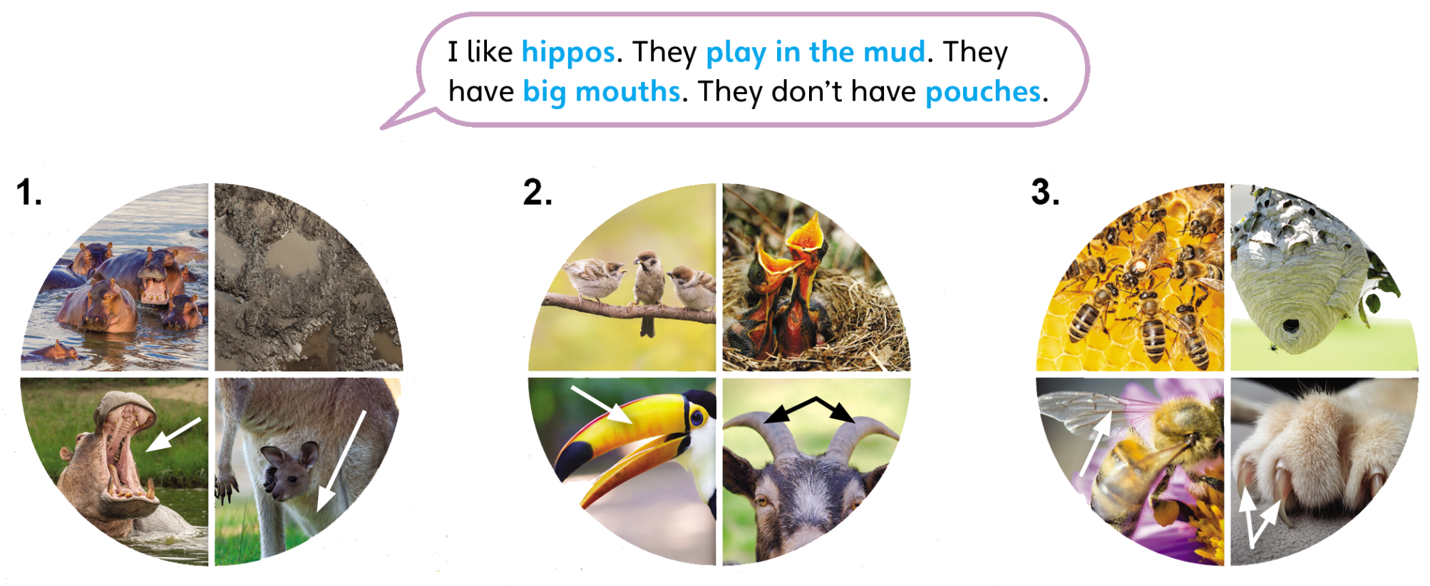 Tiếng anh lớp 5 Unit 1 lesson 10 trang 23 Explore Our World 0 1