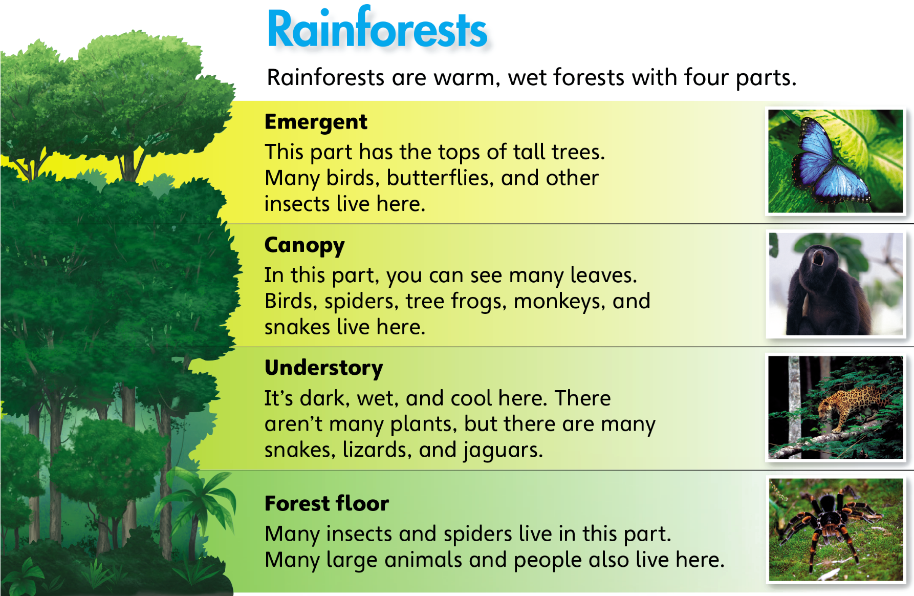 Tiếng anh lớp 5 Unit 1 lesson 11 trang 24 Explore Our World 0 1