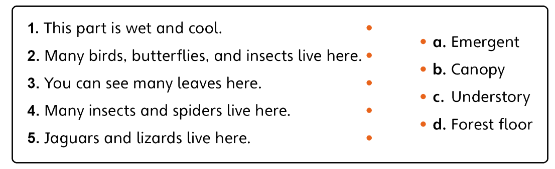 Tiếng anh lớp 5 Unit 1 lesson 11 trang 24 Explore Our World 1 1