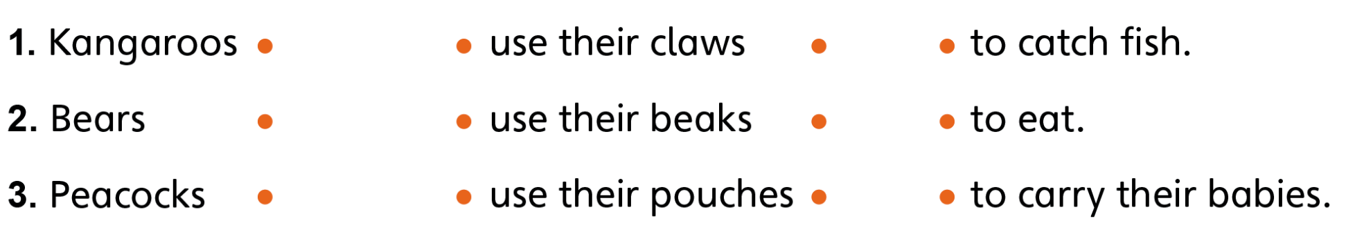 Tiếng anh lớp 5 Unit 1 lesson 12 trang 25 Explore Our World 0 1