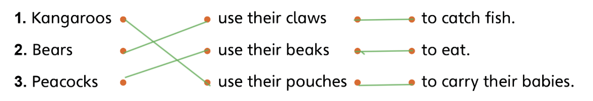 Tiếng anh lớp 5 Unit 1 lesson 12 trang 25 Explore Our World 0 2