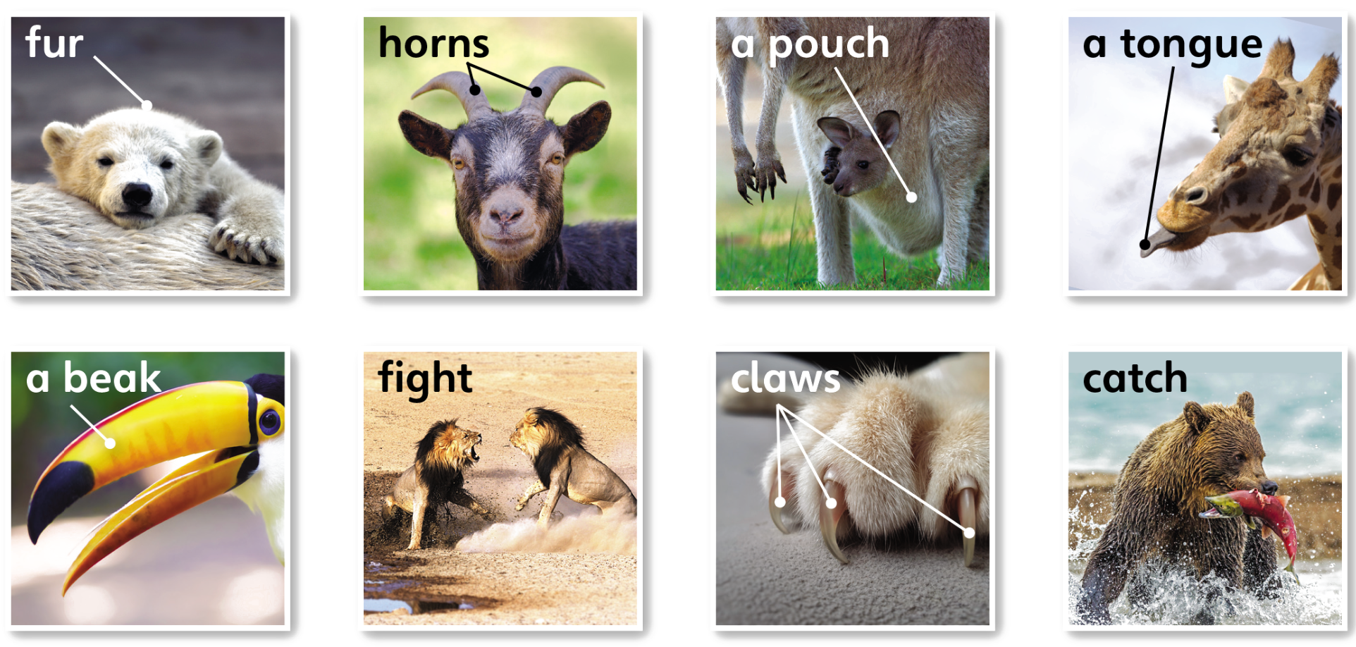 Tiếng anh lớp 5 Unit 1 lesson 5 trang 18 Explore Our World 0 1