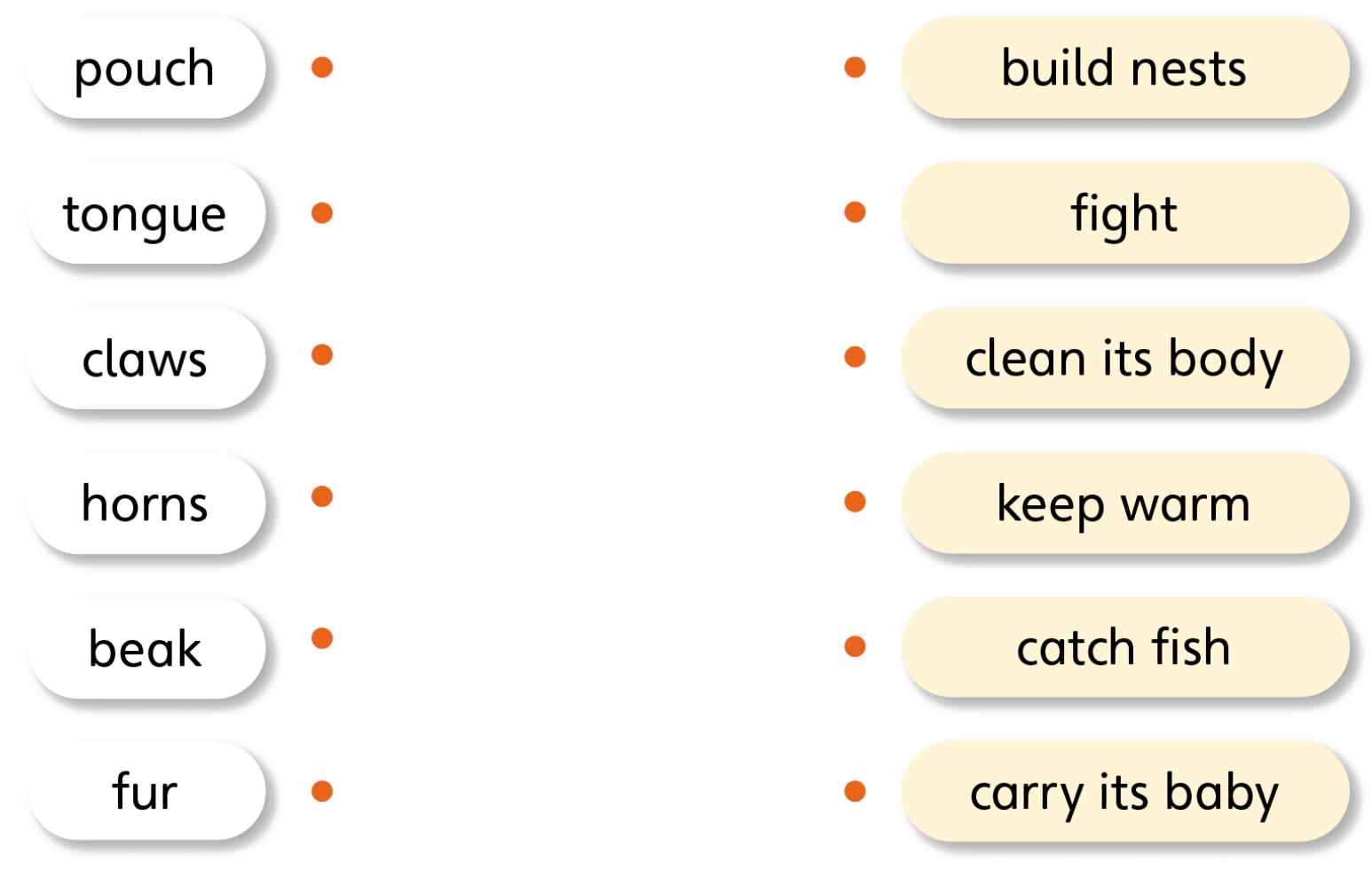 Tiếng anh lớp 5 Unit 1 lesson 5 trang 18 Explore Our World 2 1