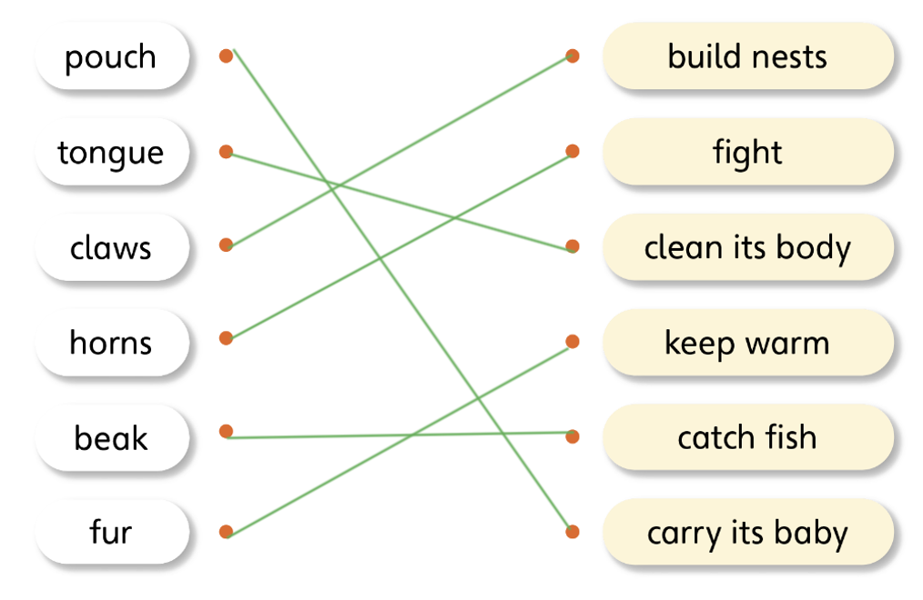 Tiếng anh lớp 5 Unit 1 lesson 5 trang 18 Explore Our World 2 2