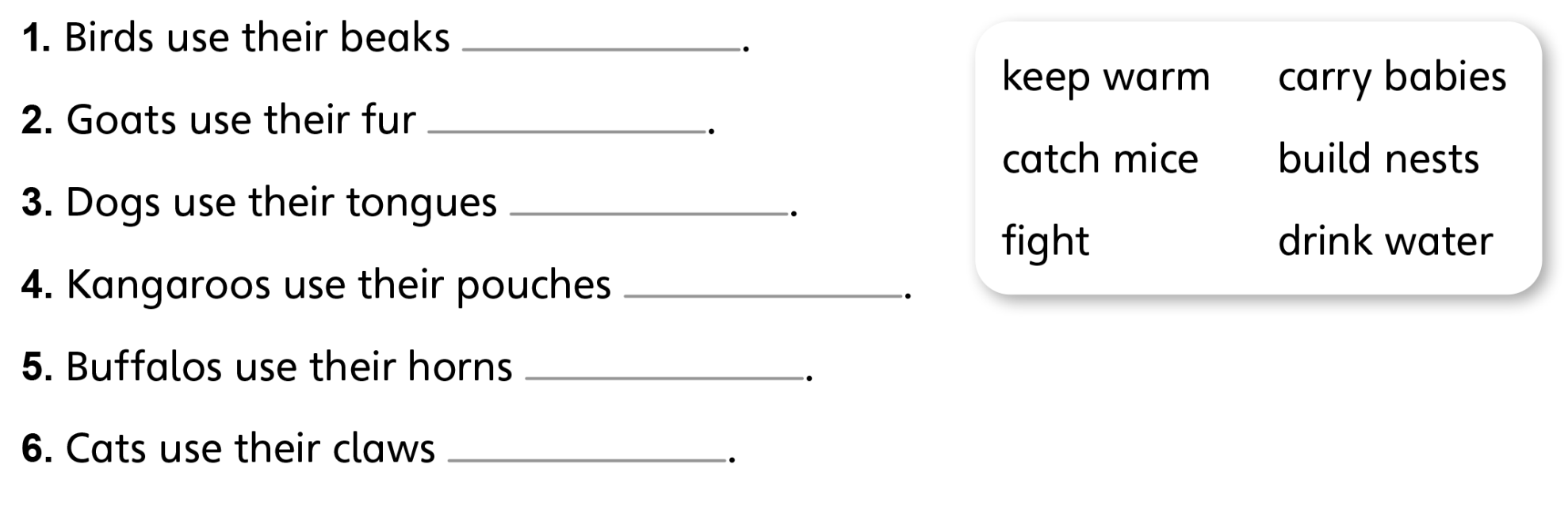 Tiếng anh lớp 5 Unit 1 lesson 7 trang 20 Explore Our World 2 1