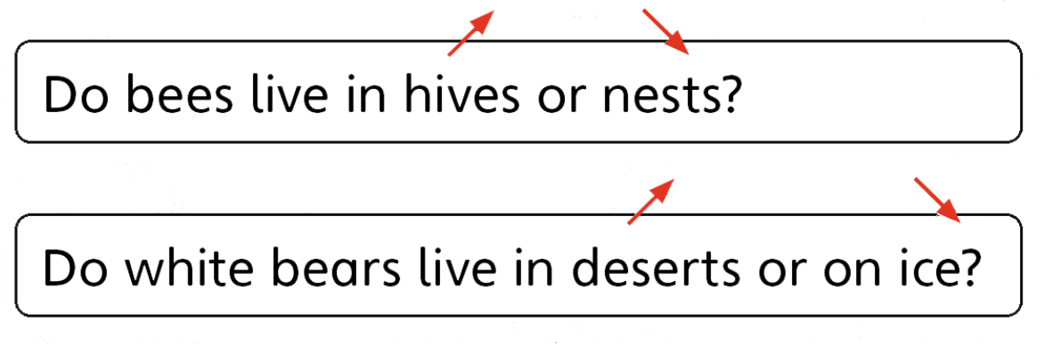 Tiếng anh lớp 5 Unit 1 lesson 9 trang 22 Explore Our World 0 1
