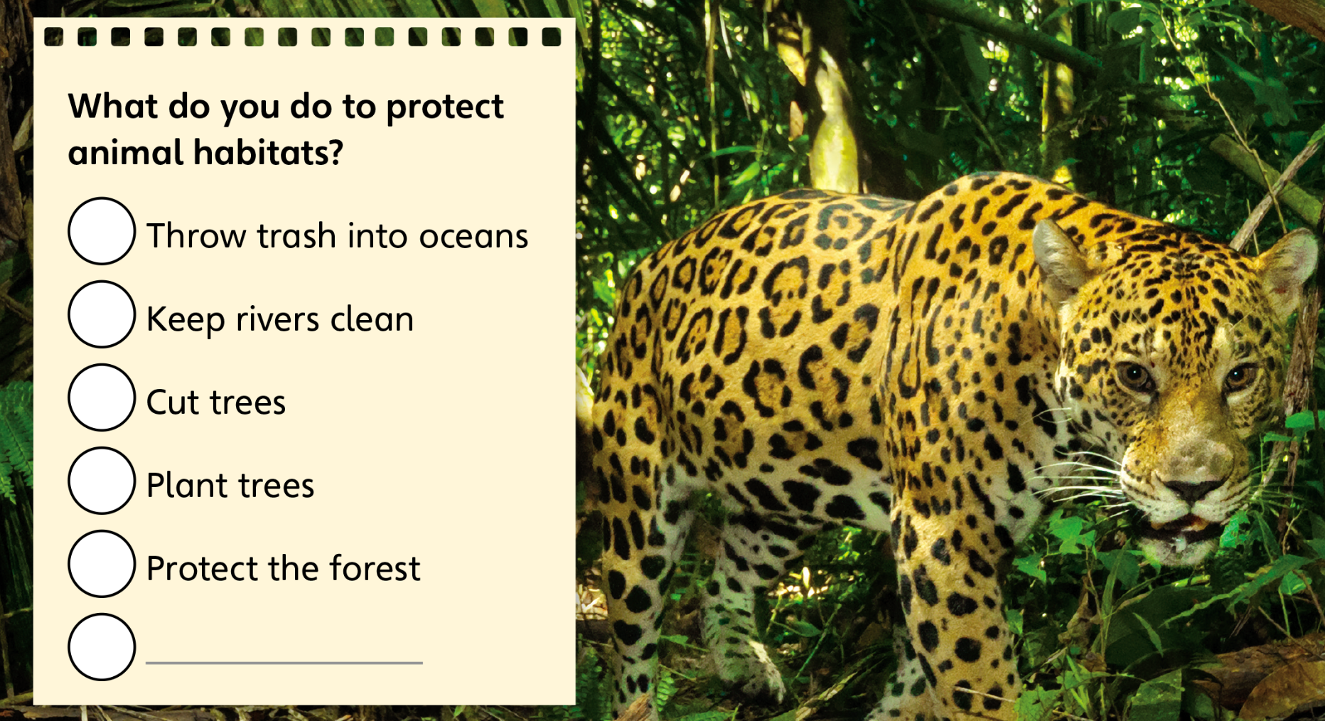 Tiếng anh lớp 5 Unit 1 Value trang 26 Explore Our World 1 1