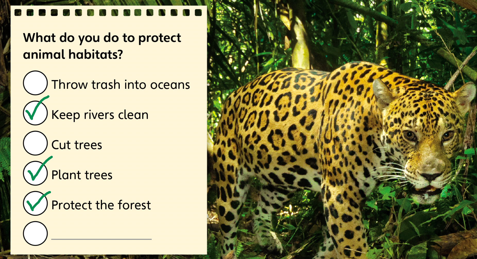 Tiếng anh lớp 5 Unit 1 Value trang 26 Explore Our World 1 2