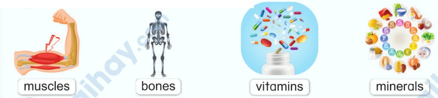 Tiếng anh lớp 5 Unit 11 Learn more trang 102 Phonics Smart 0 1