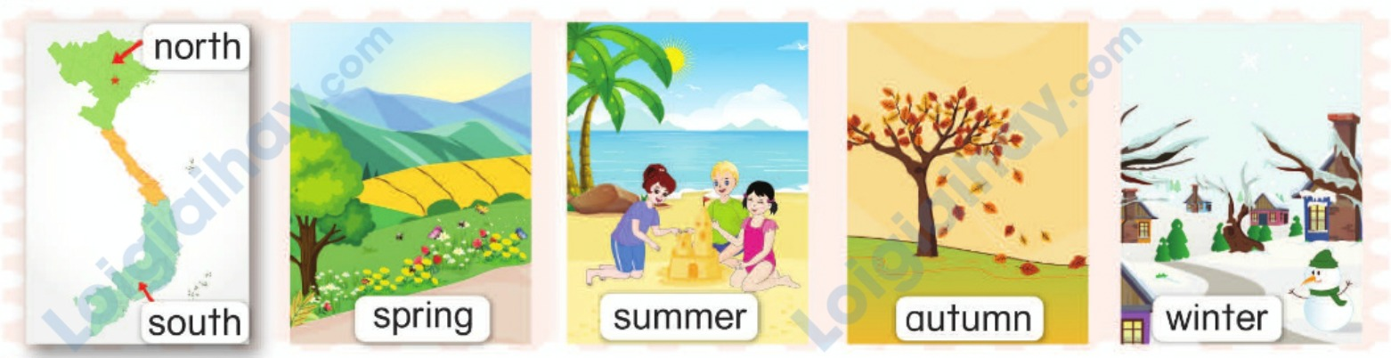 Tiếng anh lớp 5 Unit 13 Learn more trang 121 Phonics Smart 0 1