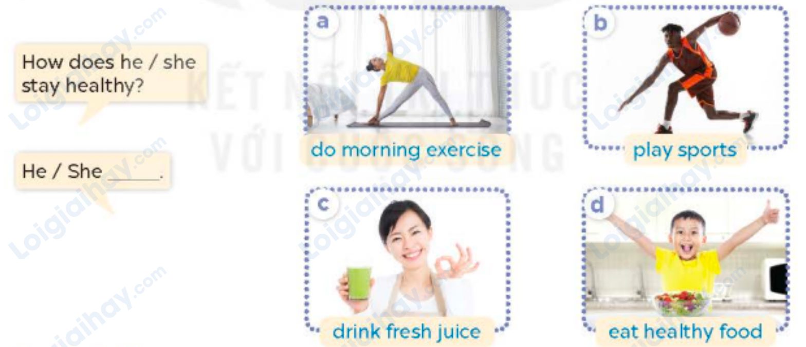 Tiếng anh lớp 5 Unit 14 lesson 1 trang 24, 25 Global Success 1 1