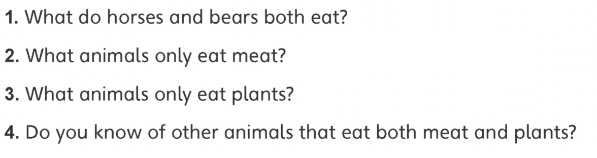 Tiếng anh lớp 5 Unit 2 lesson 4 trang 31 Explore Our World 2 1