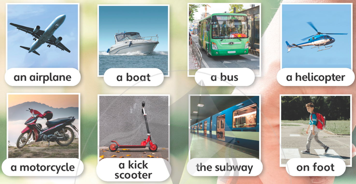 Tiếng anh lớp 5 Unit 3 lesson 1 trang 46 Explore Our World 0 1