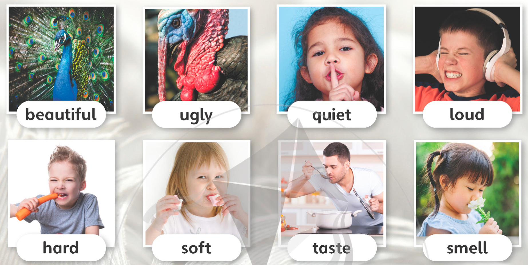 Tiếng anh lớp 5 Unit 4 lesson 1 trang 60 Explore Our World 0 1