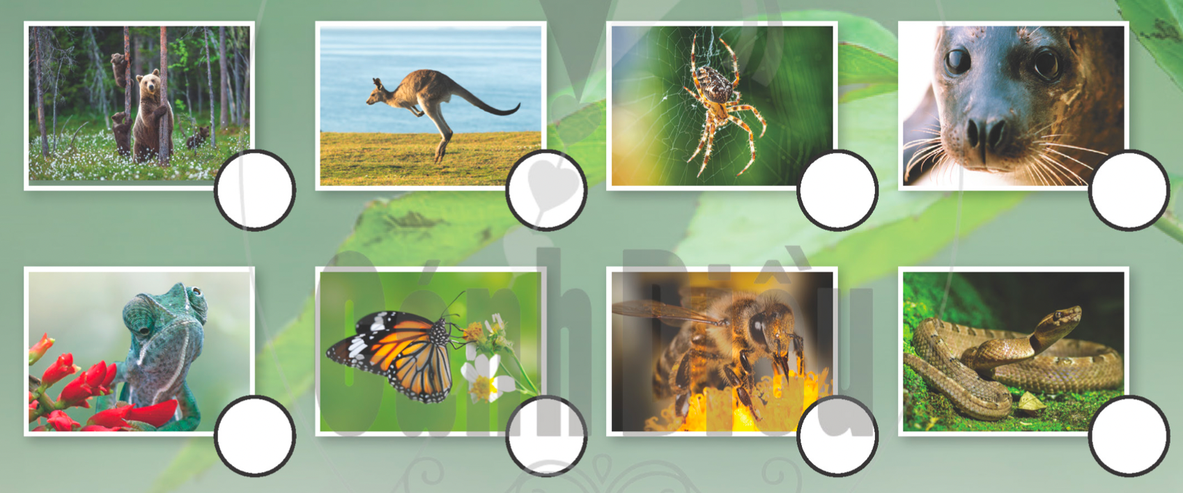 Tiếng anh lớp 5 Unit 4 lesson 11 trang 70 Explore Our World 1 1