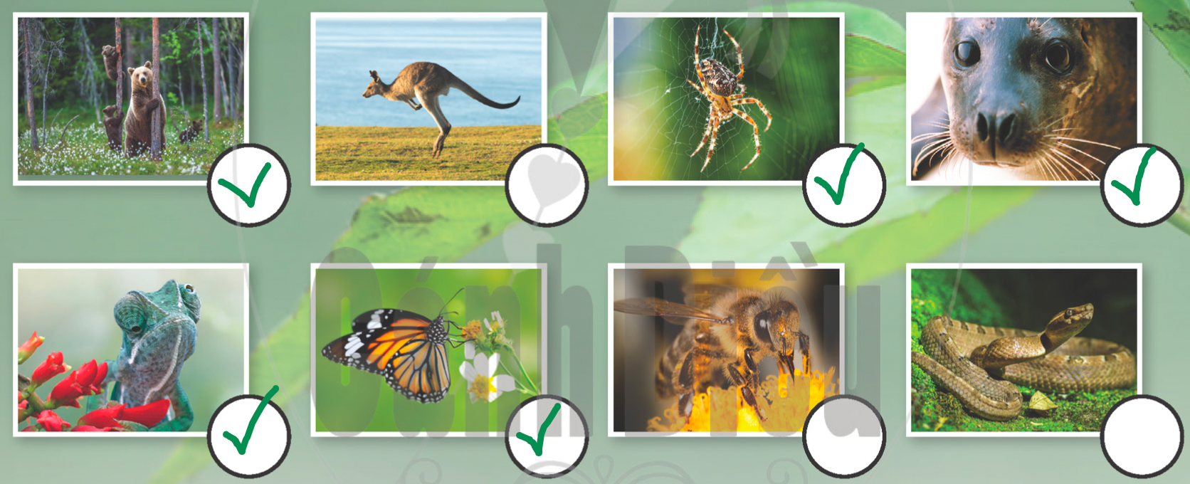 Tiếng anh lớp 5 Unit 4 lesson 11 trang 70 Explore Our World 1 2