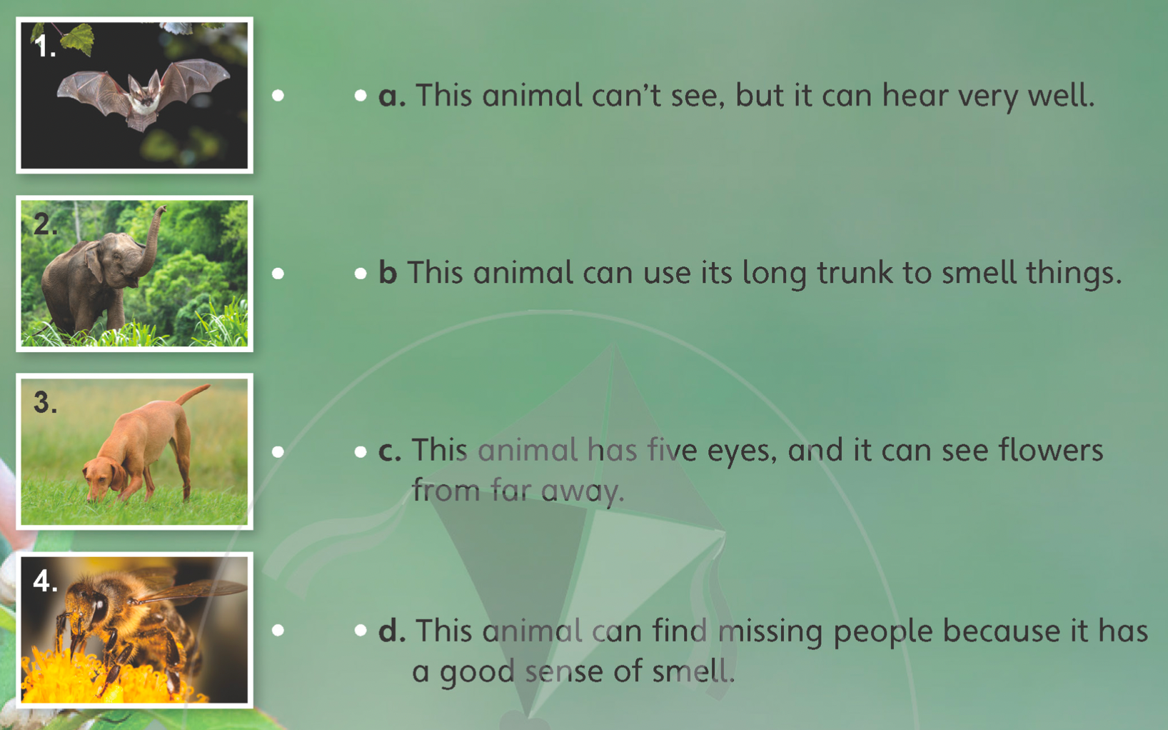 Tiếng anh lớp 5 Unit 4 lesson 12 trang 71 Explore Our World 0 1