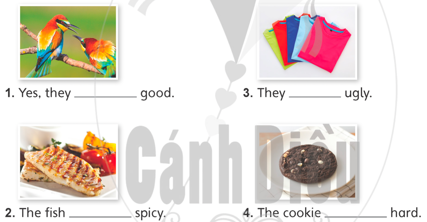 Tiếng anh lớp 5 Unit 4 lesson 7 trang 66 Explore Our World 1 1