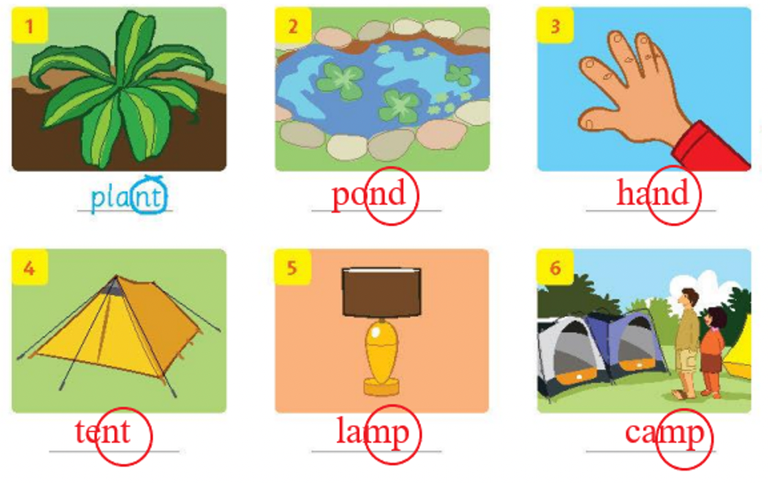 Tiếng anh lớp 5 Unit 5 lesson Four trang 39 Family and Friends 3 2