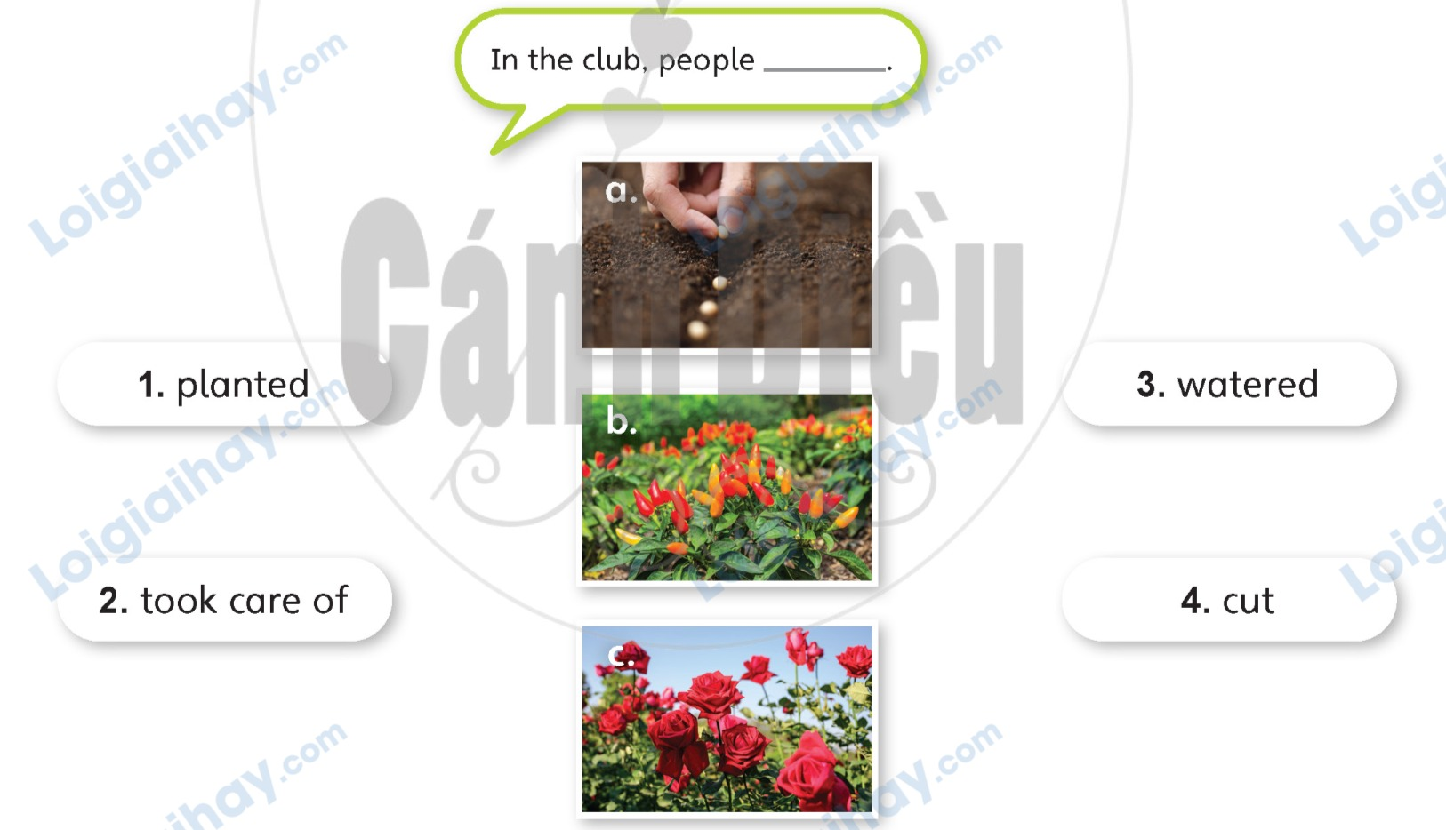 Tiếng Anh lớp 5 Unit 6 lesson 8 trang 101 Explore Our World 1 1