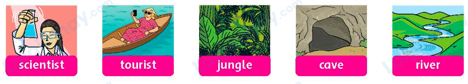 Tiếng anh lớp 5 Unit 7 lesson Five trang 58 Family and Friends 0 1