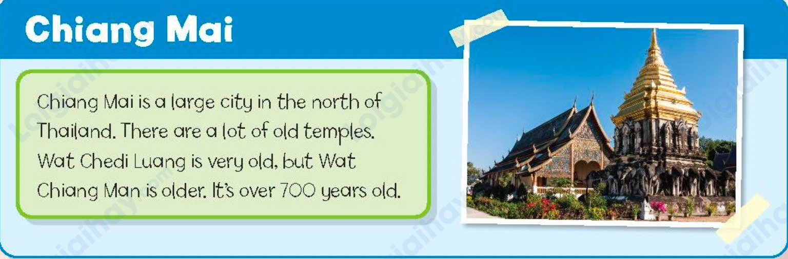 Tiếng anh lớp 5 Unit 8 lesson Six trang 65 Family and Friends 3 1