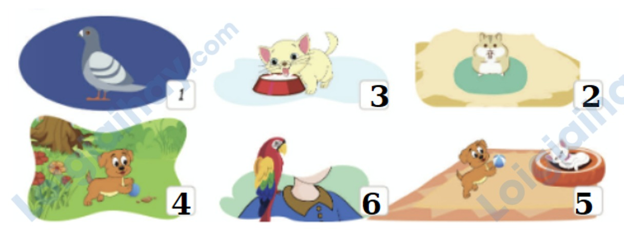 Tiếng anh lớp 5 Unit 9 lesson 1 trang 78 Phonics Smart 1 2