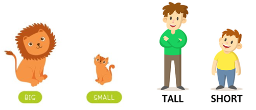 Tính từ miêu tả. Câu cảm thán - Luyện thi Starters theo chủ đề ngữ pháp 1