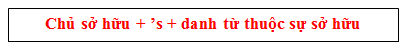 Tính từ sở hữu. Sở hữu cách 's - Luyện thi Starters theo chủ đề ngữ pháp 5