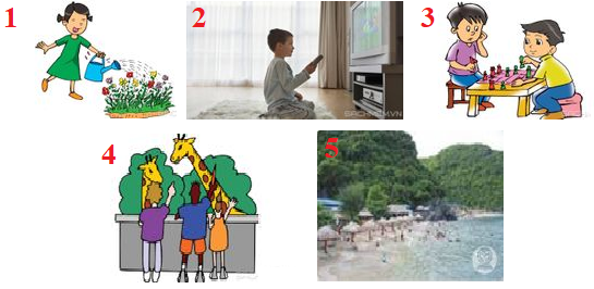 Tổng hợp bài tập Ngữ pháp - Ôn hè Tiếng Anh lớp 4 0 4