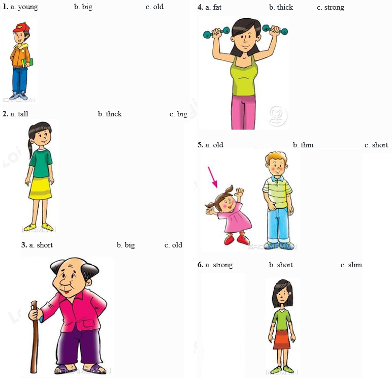 Tổng hợp bài tập Từ vựng - Ôn hè Tiếng Anh lớp 4 0 17