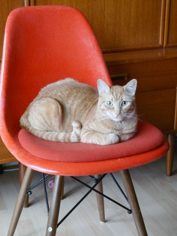 Trắc nghiệm Kĩ năng nghe Unit 2 Tiếng Anh 6 Global Success 0 10