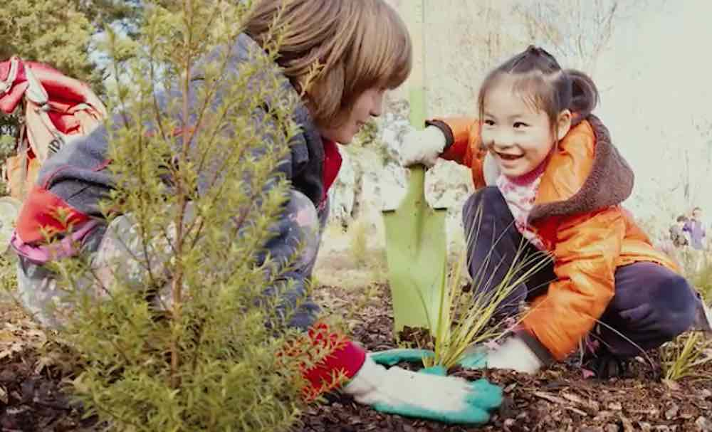 Trắc nghiệm Kĩ năng nghe Unit 4 Tiếng Anh 6 iLearn Smart World 0 2