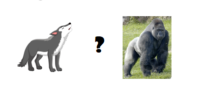 Trắc nghiệm Từ vựng Động vật Tiếng Anh 6 Right on! 0 21