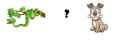 Trắc nghiệm Từ vựng Động vật Tiếng Anh 6 Right on! 0 38