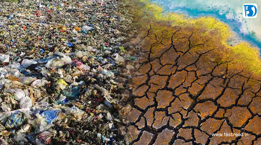 Trắc nghiệm Từ vựng Unit 11 Tiếng Anh 6 Global Success 0 1