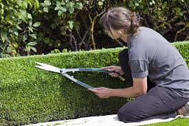 Trắc nghiệm Từ vựng Unit 12 Tiếng Anh 6 Global Success 0 4