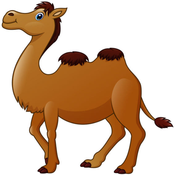 Trắc nghiệm Từ vựng Unit 3 Tiếng Anh 6 Friends Plus 0 3