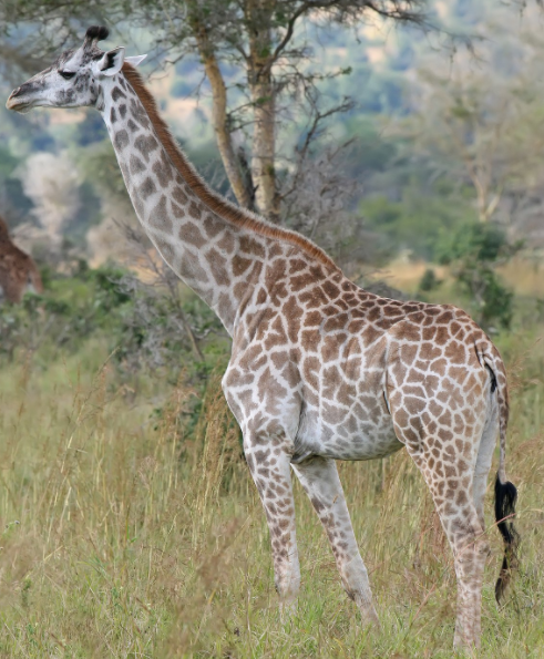 Trắc nghiệm Từ vựng Unit 3 Tiếng Anh 6 Friends Plus 0 6