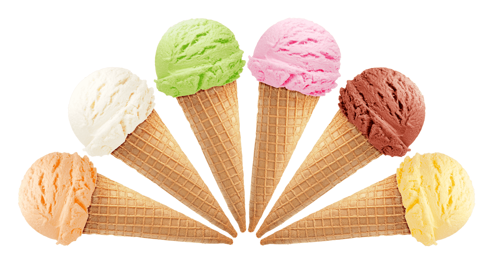 Trắc nghiệm Từ vựng Unit 8 Tiếng Anh 6 iLearm Smart World 0 14