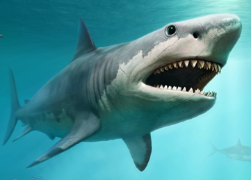 Trắc nghiệm Unit 1 Từ vựng Tiếng Anh 4 iLearn Smart Start 0 11