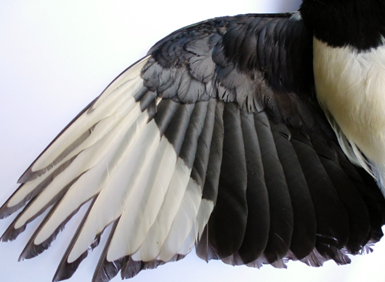 Trắc nghiệm Unit 1 Từ vựng Tiếng Anh 4 iLearn Smart Start 0 14