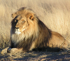 Trắc nghiệm Unit 1 Từ vựng Tiếng Anh 4 iLearn Smart Start 0 5