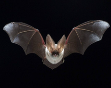 Trắc nghiệm Unit 1 Từ vựng Tiếng Anh 4 iLearn Smart Start 0 6