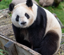 Trắc nghiệm Unit 1 Từ vựng Tiếng Anh 4 iLearn Smart Start 0 8