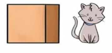 Trắc nghiệm Unit 11 Từ vựng Tiếng Anh 4 Family and Friends 0 4