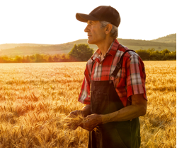 Trắc nghiệm Unit 12: Từ vựng và Ngữ âm Tiếng Anh 4 Global Success 0 3