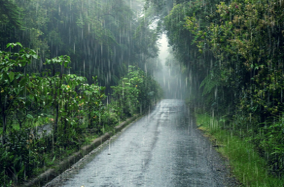 Trắc nghiệm Unit 16: Từ vựng và Ngữ âm Tiếng Anh 4 Global Success 0 1